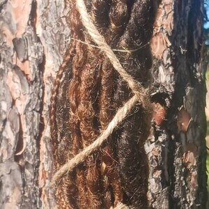 Dark Brown and Caramel Dreadlock Extensions Set of 12